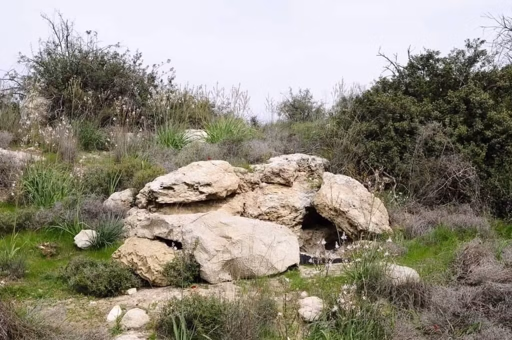 Với địa hình, địa vật của Israel và khu vực quanh biên giới nước này, kiểu ngụy trang này tỏ ra cực kỳ hữu hiệu.