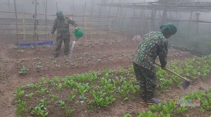 Chiến sĩ đồn cửa khẩu biên phòng Mỹ Lý vẫn tăng gia sản xuất trong cái lạnh khắc nghiệt của thời tiết. Nguồn ảnh: Vietnamnet.