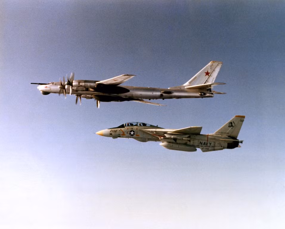 Tác giả coi sự xuất hiện của oanh tạc cơ Tu-95 Bear tại biên giới là một trong những nguyên nhân gây báo động ở nhiều quốc gia khác nhau trên thế giới.