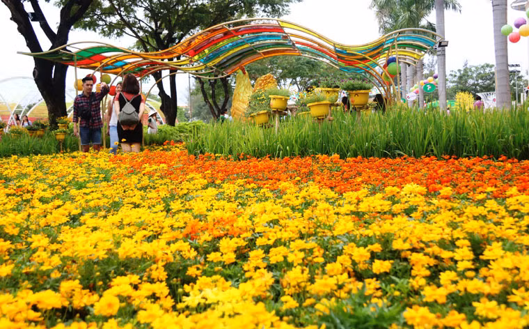 Long lay duong hoa Tet 2017 o KDT hien dai nhat SG