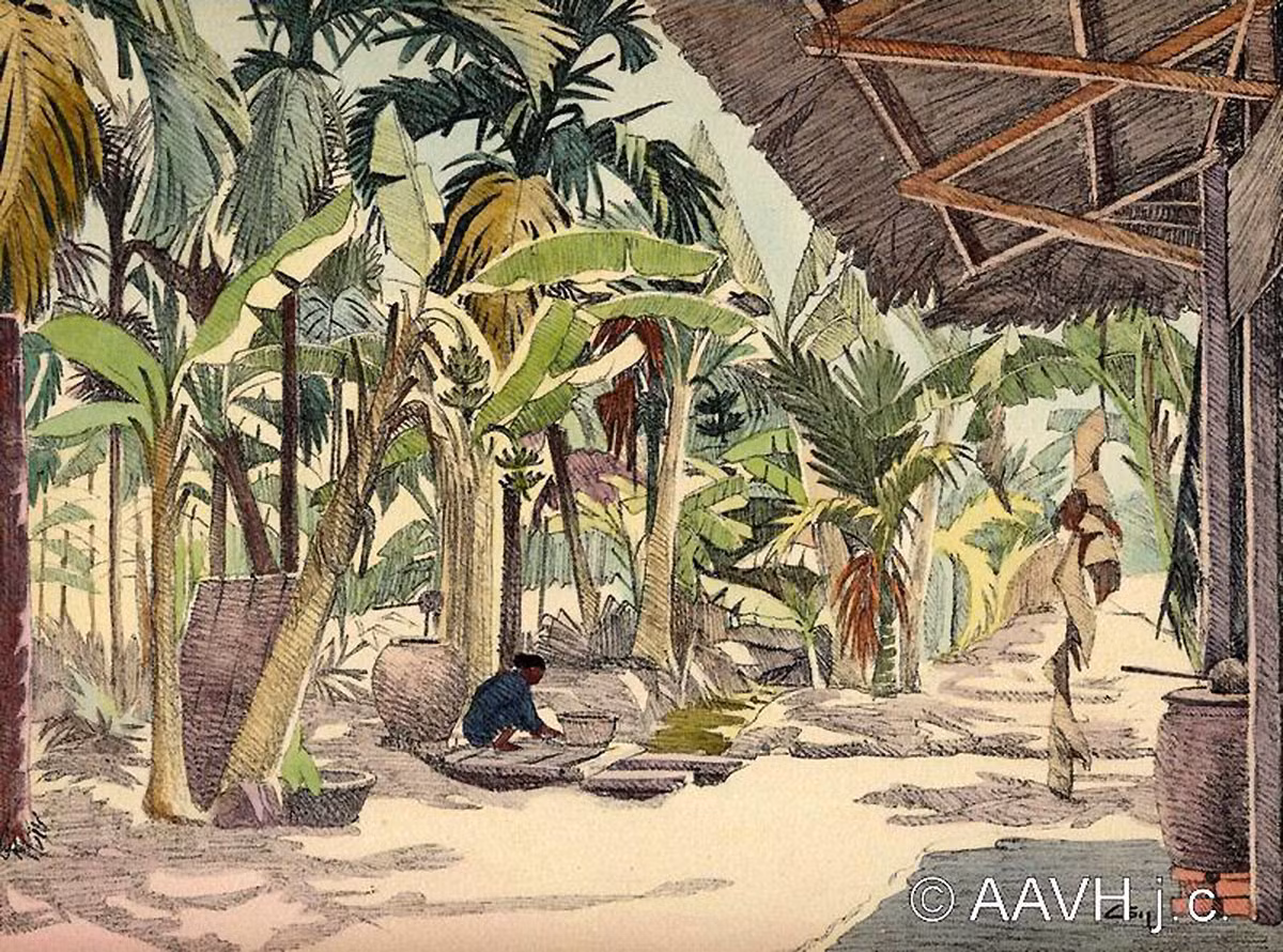 Trong vườn nhà.