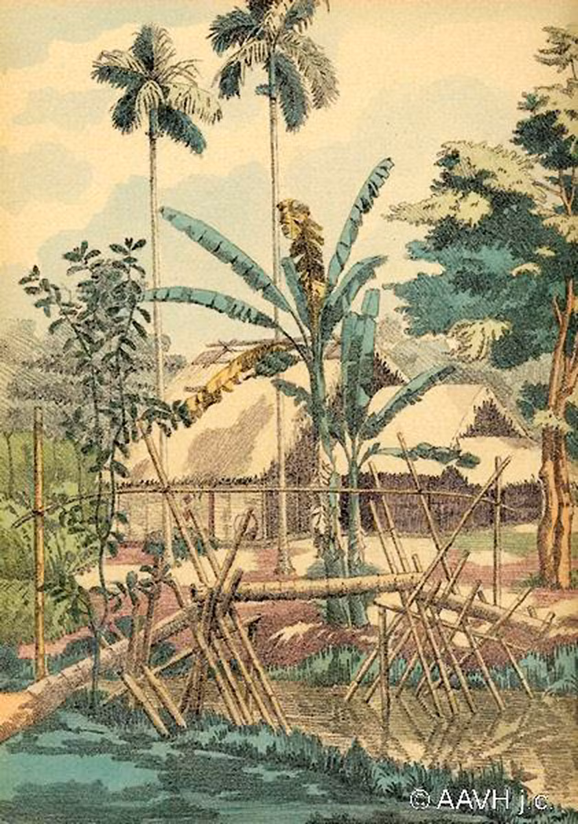 Cầu khỉ bắc qua kênh rạch ở Sa Đéc, Đồng Tháp.