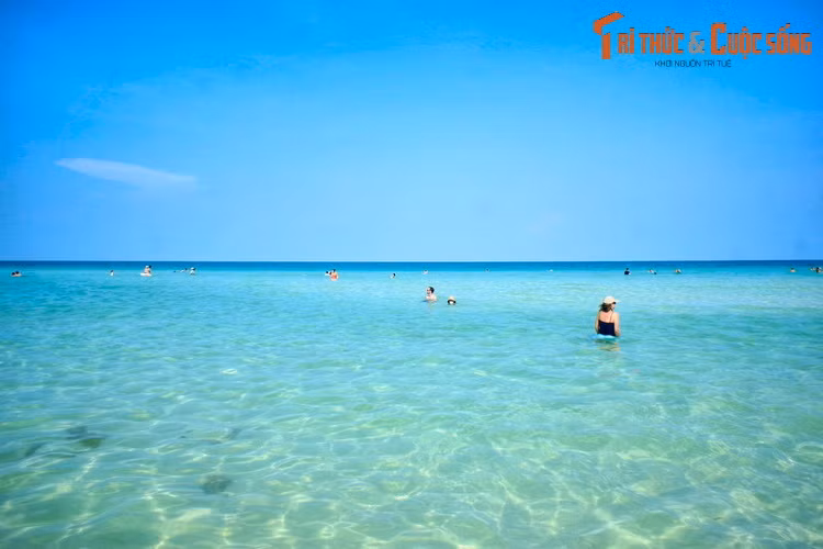 Theo một bài viết trên báo Bình Thuận, trong các văn bản Hán Nôm, địa danh Mũi Né được ghi đầy đủ là Vị Nê vịnh cảng (渭 泥 泳 港, tức vịnh cảng Vị Nê). “Vị Nê” có nghĩa là sông bùn. Có thể Mũi Né là một cách đọc phiên âm Hán Việt của từ này.