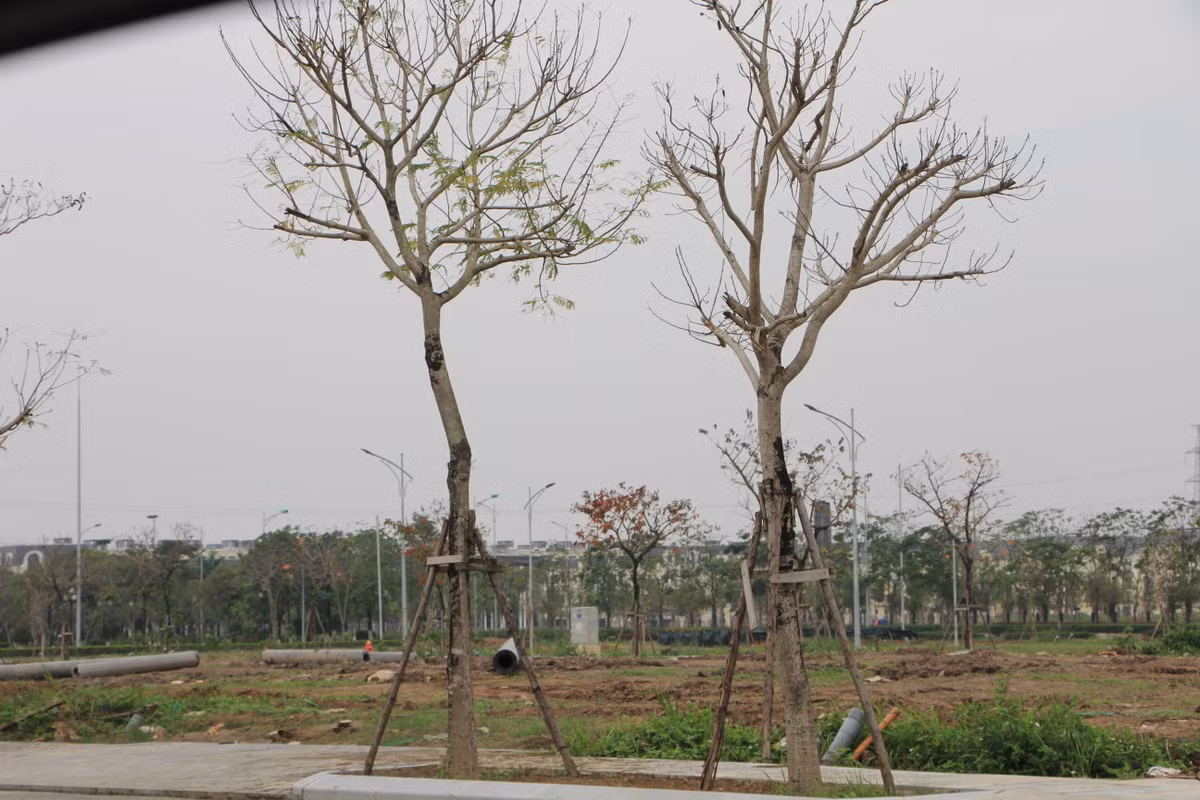 Có lẽ các cơ quan chức năng, người dân và khách hàng dự án khu đô thị mới An Lạc Green Symphony đang bị "che mắt" bởi biến báo "cấm quay phim, chụp ảnh" trái quy định pháp luật mà Công ty CP Tập đoàn An Lạc dựng lên. Đây có thể là một dấu hiệu thể hiện sự khuất tất, không minh bạch tại dự án..