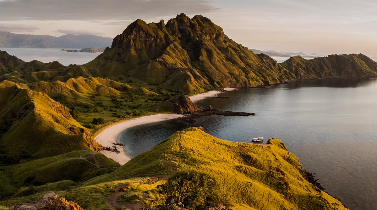 Chúng thường sống trong các khu rừng nhiệt đới nguyên sinh trên đảo New Britain của Papua New Guinea, nơi chúng săn mồi là các loài động vật nhỏ như chim, thú nhỏ và côn trùng. Tuy nhiên, do tính chất khó nắm bắt và môi trường sống bị đe dọa bởi hoạt động khai thác gỗ và khai khoáng, việc bảo tồn loài chim này đang gặp nhiều thách thức.(Ảnh: ATJ)