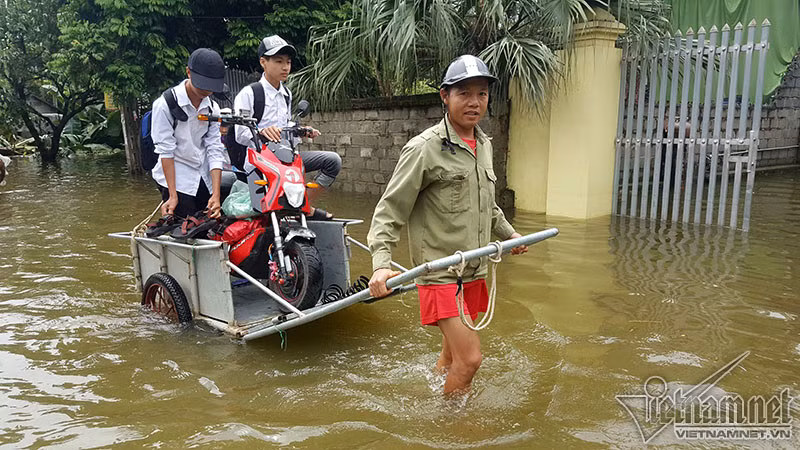 Ông Nguyễn Văn Thuận (40 tuổi, Nam Hải) ngày 2 lượt cùng vợ kéo xe đưa 2 con trai học lớp 10 vượt lũ tới trường. Ông cho biết: "Lợn gà, thóc, lúa mất hết rồi, giờ không thể để 2 con mất cái học, phải đưa đi học cho bằng bạn bè, theo kịp chương trình"