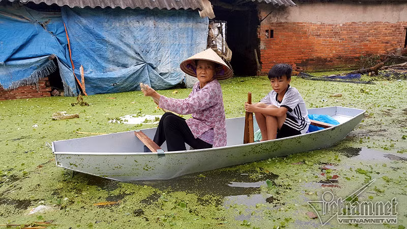 Nước lũ kéo theo bèo, rác thải ảnh hưởng đến môi trường sống của người dân