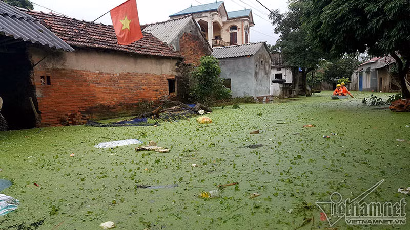 Đường làng, ngõ xóm bao phủ bởi bèo và rác thải