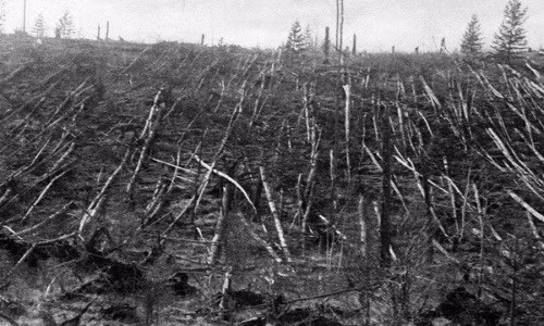 Theo lời kể của các nhân chứng, vụ nổ Tunguska diễn ra vô cùng khủng khiếp.