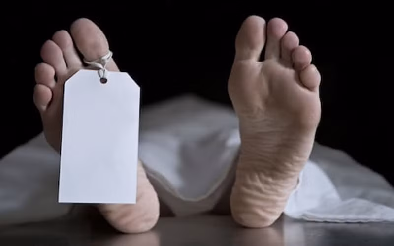 Khoảng 1 năm sau, con trai của người họa sĩ trên tự sát dẫn đến mất mạng.