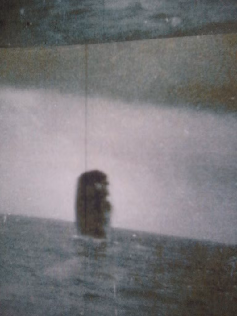 Theo các nhà nghiên cứu, số ảnh chụp UFO trên được thực hiện từ tàu ngầm USS Trepang SSN 674 của Mỹ vào tháng 3/1971.
