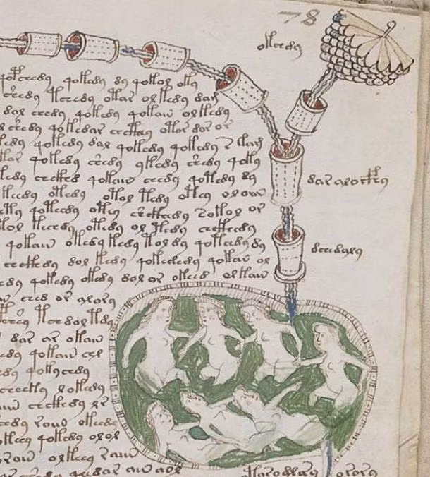 Bản thảo Voynich gồm 240 trang và được viết trên giấy da dê bằng một thứ ngôn ngữ khó hiểu.