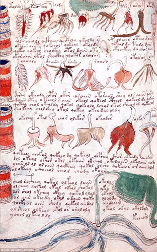 Để đi đến kết luận này, ông Gibbs so sánh bản thảo Voynich với một số văn bản khác có từ thời Trung cổ với nội dung về sức khỏe phụ nữ.