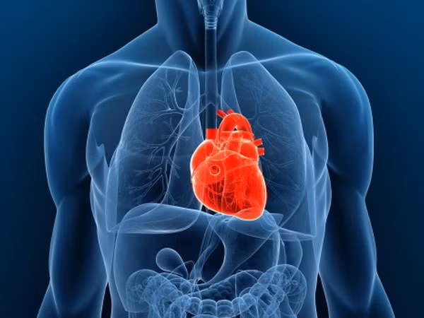 Trước những sự thay đổi lớn về thói quen, sở thích, Sherman đã tìm hiểu và biết được rằng đó là những điều mà người hiến tim cho cô khi còn sống thường làm.