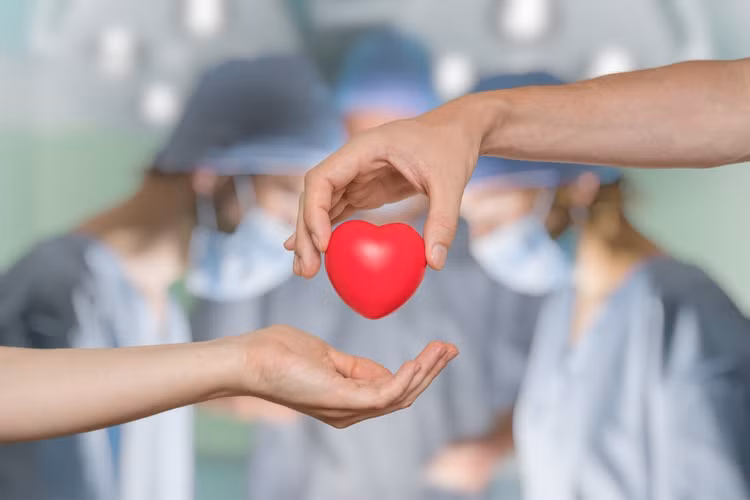 Sau khi tìm hiểu, người đàn ông biết được sự thật rằng sở thích trên là của một thiếu nữ say mê nhạc cổ điển và chơi violon. Người này đã hiến tặng trái tim sau khi chết và nó được cấy ghép vào cơ thể ông.