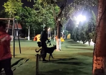 Anh Hưng ngồi uống nước cạnh khu vui chơi, đến khoảng 17h30, không thấy cháu Gia Bảo đầu, anh Hưng thông báo bảo vệ Công viên, cùng người nhà và mọi người tìm kiếm nhưng không thấy.
