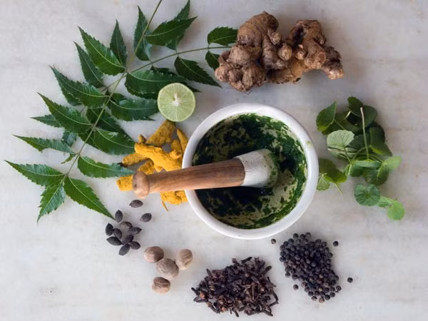 Lá neem Ấn Độ. Dùng bột lá neem khô hoặc xay nhuyễn lá neem tươi, trộn với 2 muỗng canh sữa, sau đó đắp lên khu vực có mụn đầu đen để làm mềm và loại bỏ mụn.