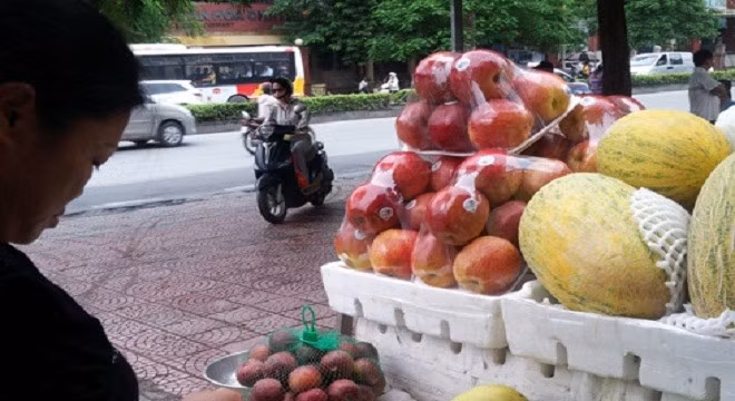 Mặc dù từ tháng 3/2012, việc này đã bị chính quyền địa phương cấm do những lo ngại về sức khỏe, nhưng vào tháng 6 vừa qua, các phóng viên điều tra của Sina vẫn phát hiện kiểu trồng táo này không những không bị ngưng lại mà còn tiếp tục phát triển rộng rãi.