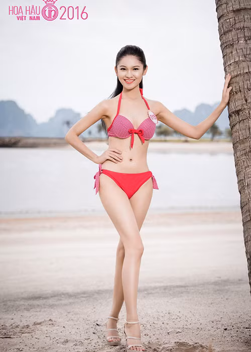 Thùy Dung sinh năm 1996, đến từ TP HCM. Cô cao 1m71, nặng 50kg và có số đo 3 vòng: 84-62-90. Thùy Dung cũng chính là Hoa khôi cuộc thi Duyên dáng Ngoại thương 2016. 