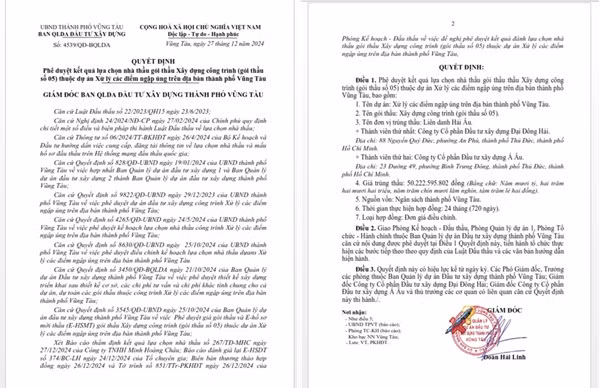 Can canh goi thau “xu ly cac diem ngap ung” tai Vung Tau-Hinh-2