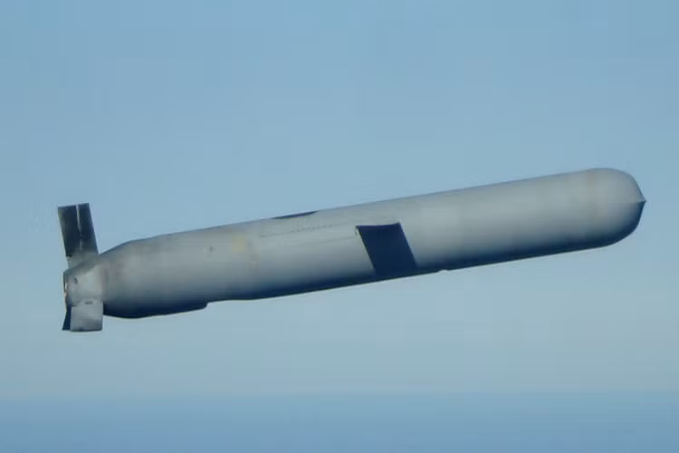 Được biết, General Dynamics là nhà thầu chính trong chương trình phát triển Tomahawk trong đầu những năm 1970, nhằm thỏa mãn yêu cầu của Lầu Năm Góc về một loại tên lửa tấn cống chiến thuật lẫn chiến lược tầm xa có thể triển khai trên nhiều nền tảng phóng và có độ tin cậy cao. Nguồn ảnh: seaforces.org.