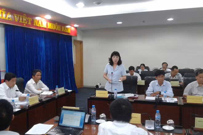 Bà Nguyễn Thị Tuyết Mai - Chánh thanh tra tỉnh Bình Dương, đã thay mặt đoàn thanh tra công bố "167 hạng mục công trình" vi phạm xây dựng không phép, chưa làm thủ tục sở hữu công trình...
