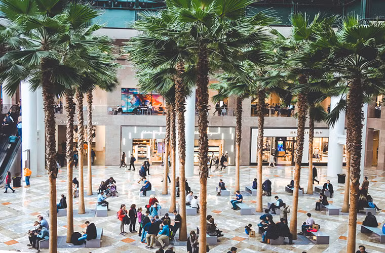 Khu vực này có rất nhiều cây cọ, bàn ghế để khách hàng đến Brookfield Place có thể ngồi nghỉ và thư giãn.