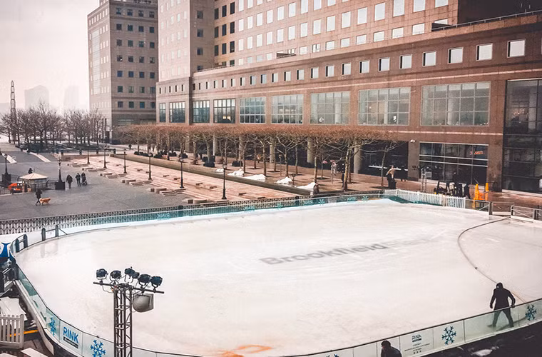 Từ Winter Garden, người ta có thể nhìn ra sân trượt băng Brookfield.