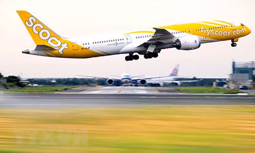 Hãng hàng không giá rẻ Scoot Air của Singapore. (Nguồn: TTG Asia) Hãng hàng không giá rẻ Scoot Air của Singapore. (Nguồn: TTG Asia)