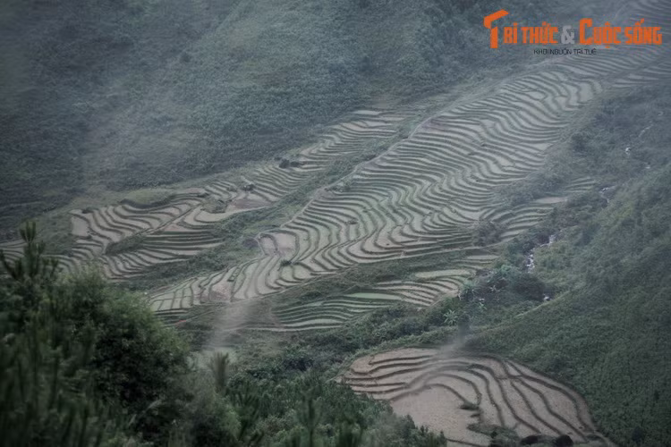 Với những điều quyến rũ đó, ngày nay đèo Ô Quy Hồ đã trở thành một cung đường thu hút nhiều “phượt thủ” khắp ba miền đến khám phá và chinh phục.