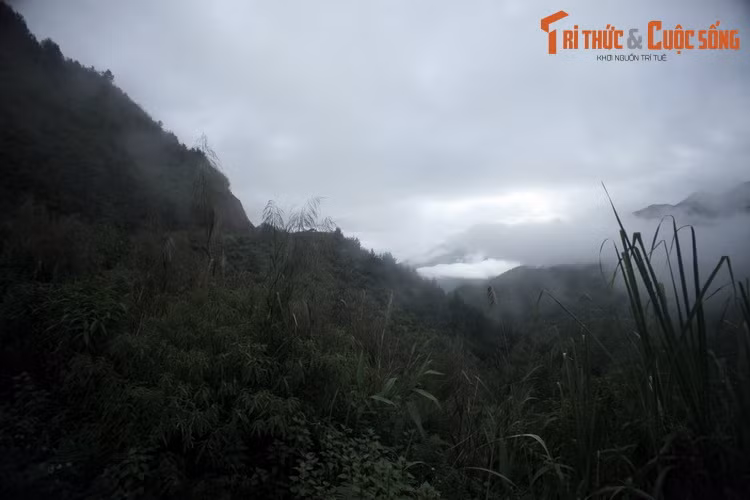 Trước khi được trải nhựa, đèo Ô Quy Hồ là tuyền đường ít người dám qua lại vì quá khó đi, lại mang theo nhiều câu chuyện truyền miệng đáng sợ, trong đó có chuyện về những con hổ thần rình bắt người qua lại.