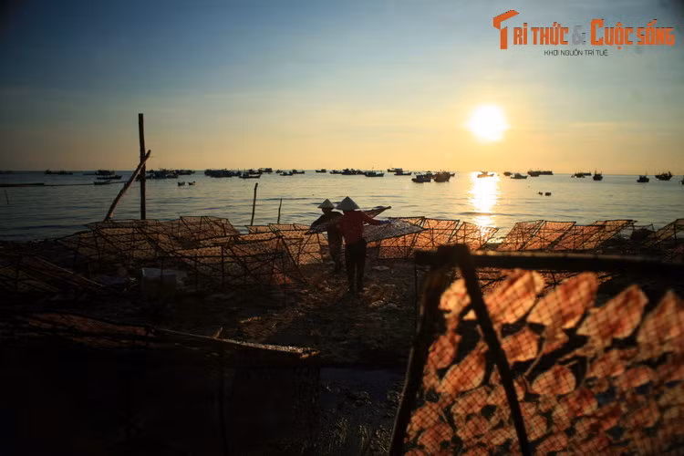 Những người ngư dân phơi mực trong ráng chiều gần chợ cá làng chài An Thới ở Phú Quốc.