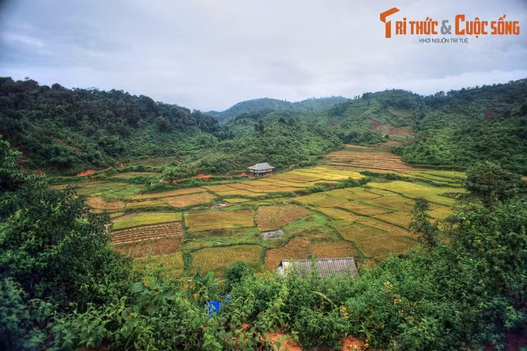 Đồng ruộng ở Mường Phăng, huyện Điện Biên.