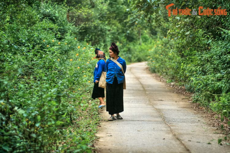Đặc biệt, quanh hồ có các bản của đồng bào dân tộc Khơ Mú, Thái, Mông… đã sinh sống qua nhiều thế hệ, tạo nên nét văn hóa đặc sắc, mời gọi những vị khách từ miền xuôi đến khám phá, trải nghiệm.
