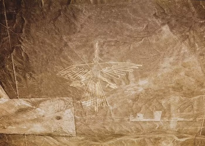 Một Nazca Lines hình con chim cổ