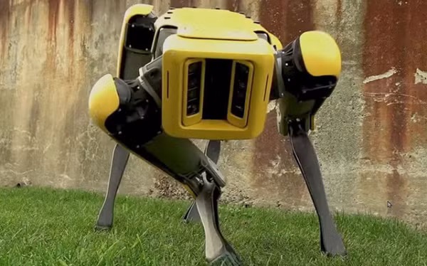 Chó robot cũng có thể di chuyển theo một lộ trình được thiết lập từ trước. Và tất nhiên với cấu tạo linh hoạt của mình, chúng có thể chạy nhảy, chơi đùa, lăn lộn, trườn bò, biết tự đứng dậy nếu ngã. Vận tốc tối đa của Spot là 3 MPH (khoảng 5 km/h).