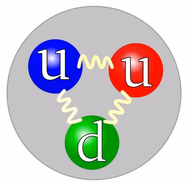 Hạt sơ cấp Quarks: sơ cấp Quarks bao gồm Proton và Nơtron. Proton và Nơtron là hai thứ tạo nên vật chất. Có tổng cộng sáu loại Quarks khác nhau và mỗi loại có diện tích và màu tích khác nhau.