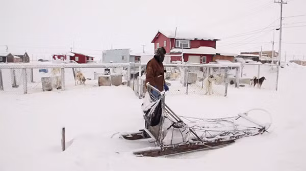 Chỉ có thể tiếp cận Utqiaġvik bằng máy bay bởi không có bất kỳ đường bộ nào có khả năng. Người dân nơi đây đã từng sử dụng xe kéo bằng chó để đi quanh thị trấn trước khi chúng được thay thế bằng xe trượt tuyết kể từ năm 1960.