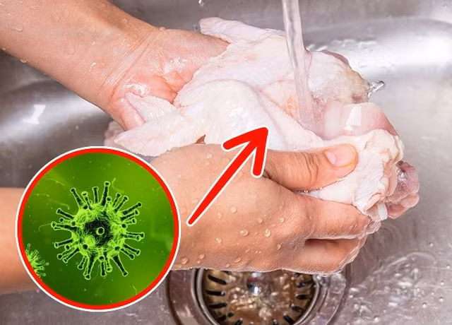 Tại sao không nên rửa thịt gà trước khi nấu? - Hình 2 Tai sao khong nen rua thit ga truoc khi nau?-Hinh-2