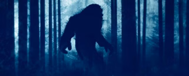 Quái vật Bigfoot có hình dáng giống vượn, có thể đi thẳng trên hai chân. Nó thỉnh thoảng xuất hiện trong các khu rừng hẻo lánh ở Bắc Mỹ. Trong nhiều thập kỷ gần đây, các chuyên gia nỗ lực tìm kiếm các manh mối nhằm xác thực sự tồn tại của Bigfoot nhưng đến nay vẫn chưa thành công.