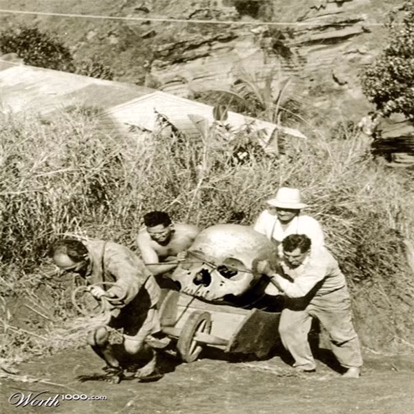 Vào năm 1940, các nhà khảo cổ thực hiện cuộc khai quật tại Argedava, Romania. Khi ấy, họ thuê một số người dân địa phương tham gia cuộc khai quật. Theo đó, một ông lão có tên Ionita Florea bất ngờ phát hiện một hộp sọ có kích thước lớn gấp gần 3 lần người bình thường. Việc tìm thấy hài cốt dị thường nhanh chóng thu hút sự quan tâm của các nhà khảo cổ.