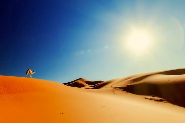 Sahara là sa mạc lớn nhất thế giới. Theo ghi nhận của các nhà khoa học, nhiệt độ vào ban ngày ở sa mạc Sahara có thể lên tới 58 độ C. Độ ẩm hay lượng hơi nước trong không khí ở sa mạc Sahara là gần như bằng không.