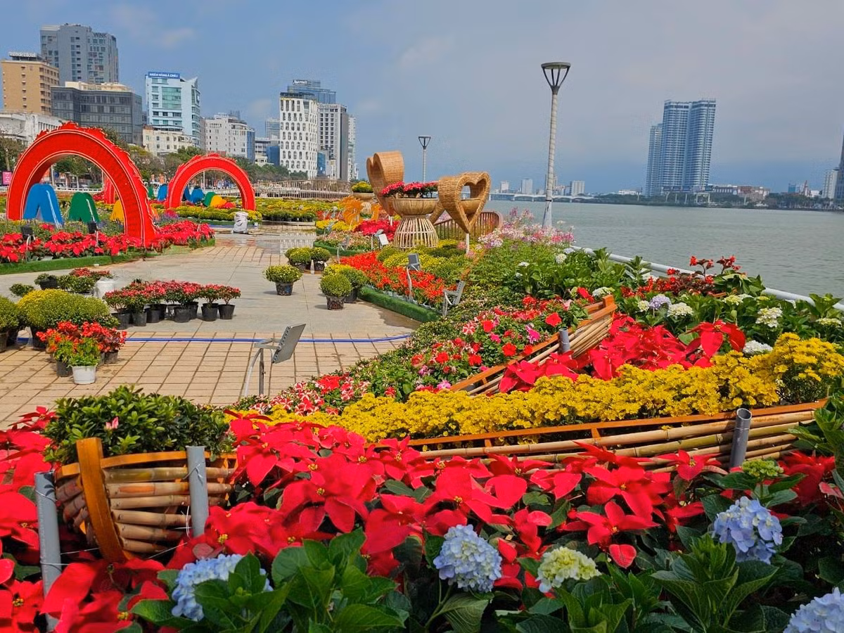 Dịp Tết Nguyên đán Giáp Thìn 2024, UBND TP Đà Nẵng đầu tư gần 20 tỷ đồng trang trí hoa và điện chiếu sáng.