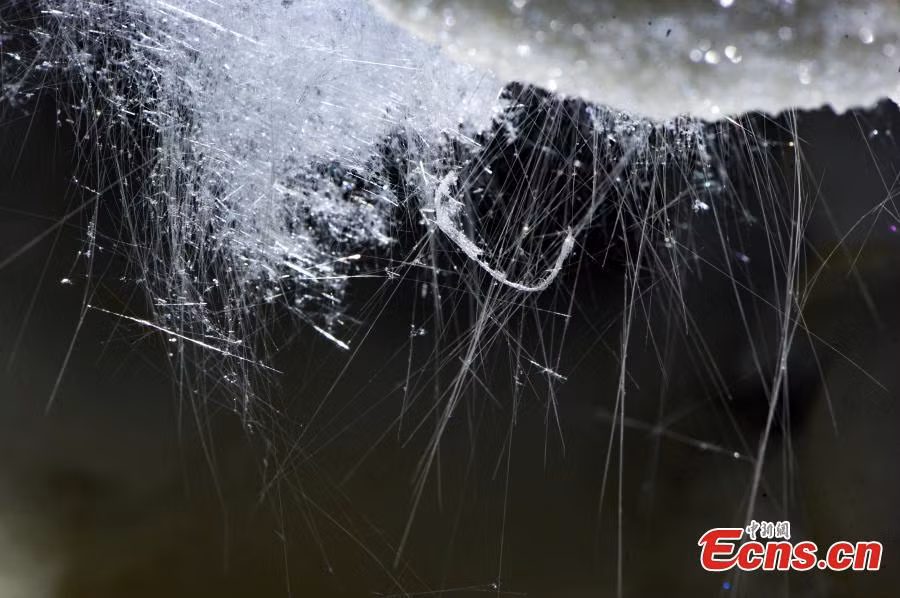 Hoạt động thám hiểm tiếp tục diễn ra. Đến thời điểm hiện tại, với chiều dài 186,3 km, Shuanghe trở thành hang động đá vôi dài nhất Trung Quốc và đứng thứ hai ở khu vực Châu Á.