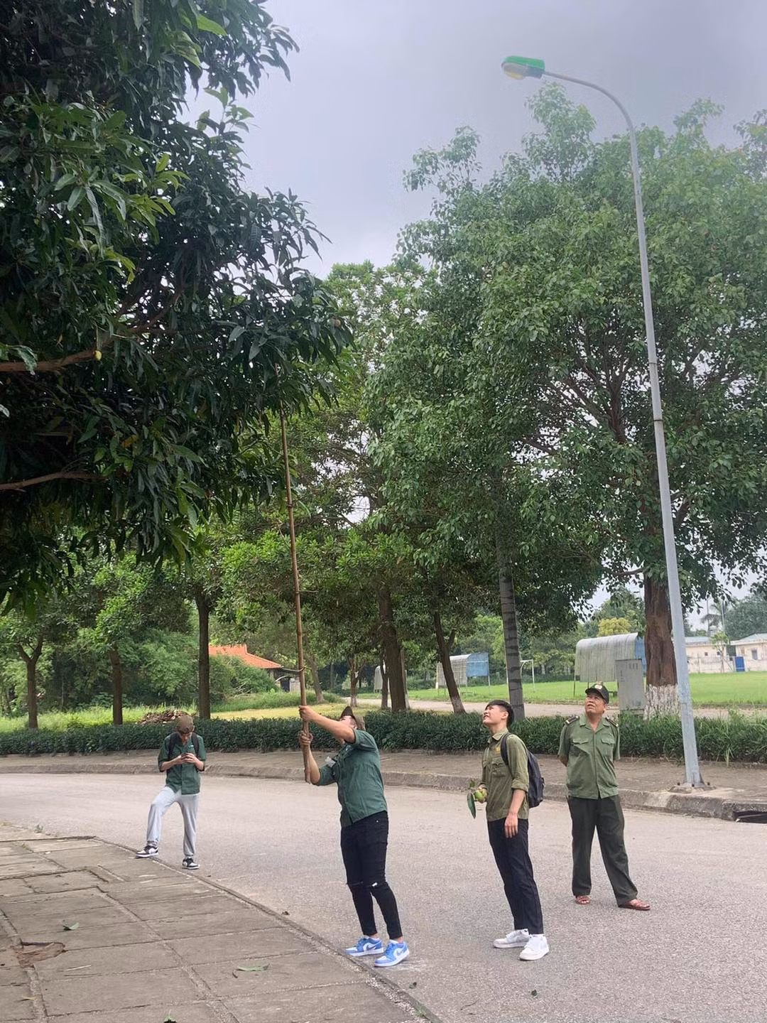 Bên dưới phần bình luận, nhiều cư dân mạng "tag" tên bạn bè cũ từng học chung trường vào để ôn lại kỷ niệm một thời. Ảnh: Phạm Ánh-Lang Thang Hà Nội