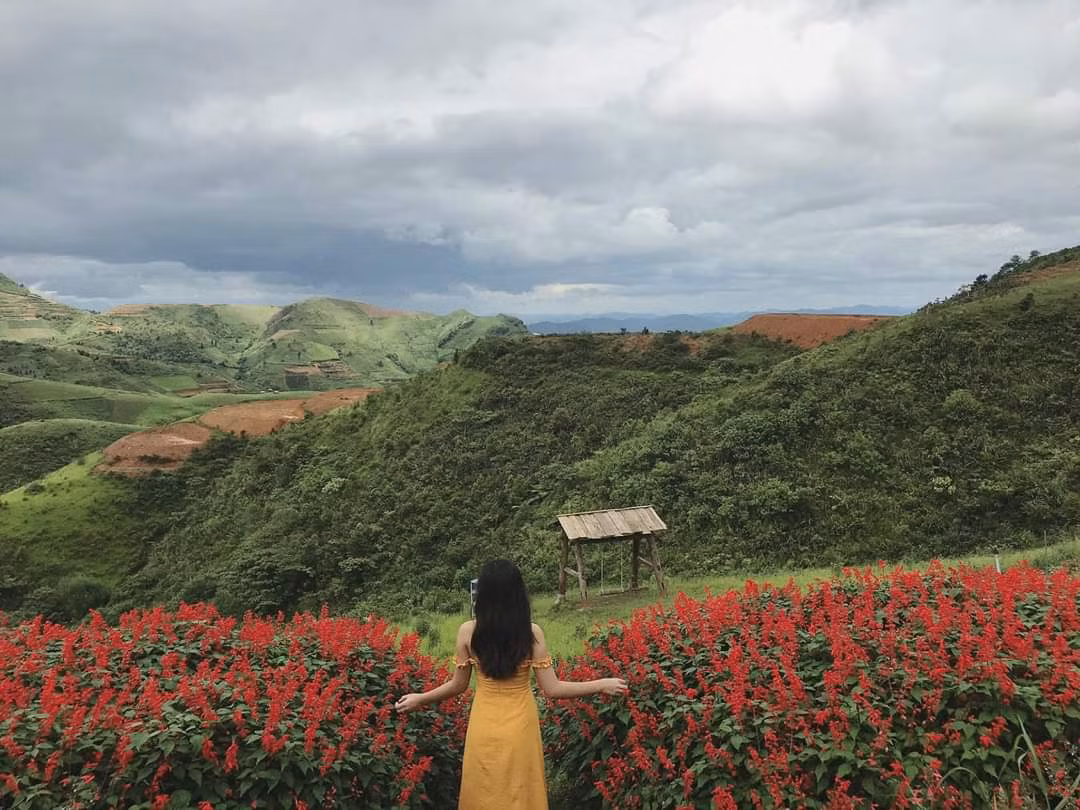 Nơi đây có nhiều địa điểm sống ảo tuyệt đẹp, hòa mình vào thiên nhiên để cho ra lò nhiều bức ảnh tuyệt đẹp.