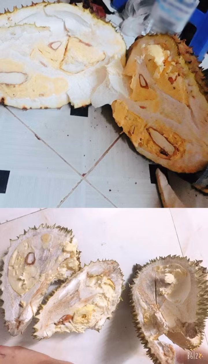 Mất công cả buổi bổ sầu riêng và đây là thành quả nhận được.
