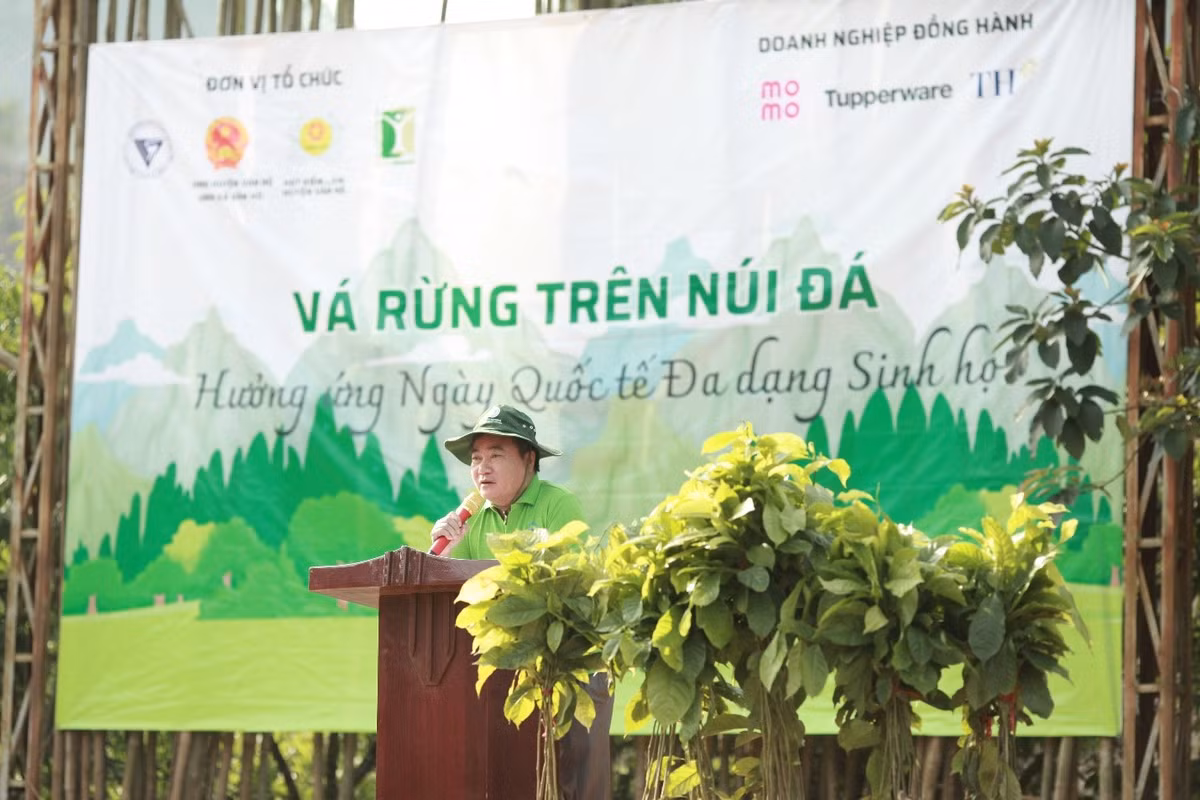 Va rung tren nui da - huong ung Ngay Quoc te Da dang sinh hoc 22/5