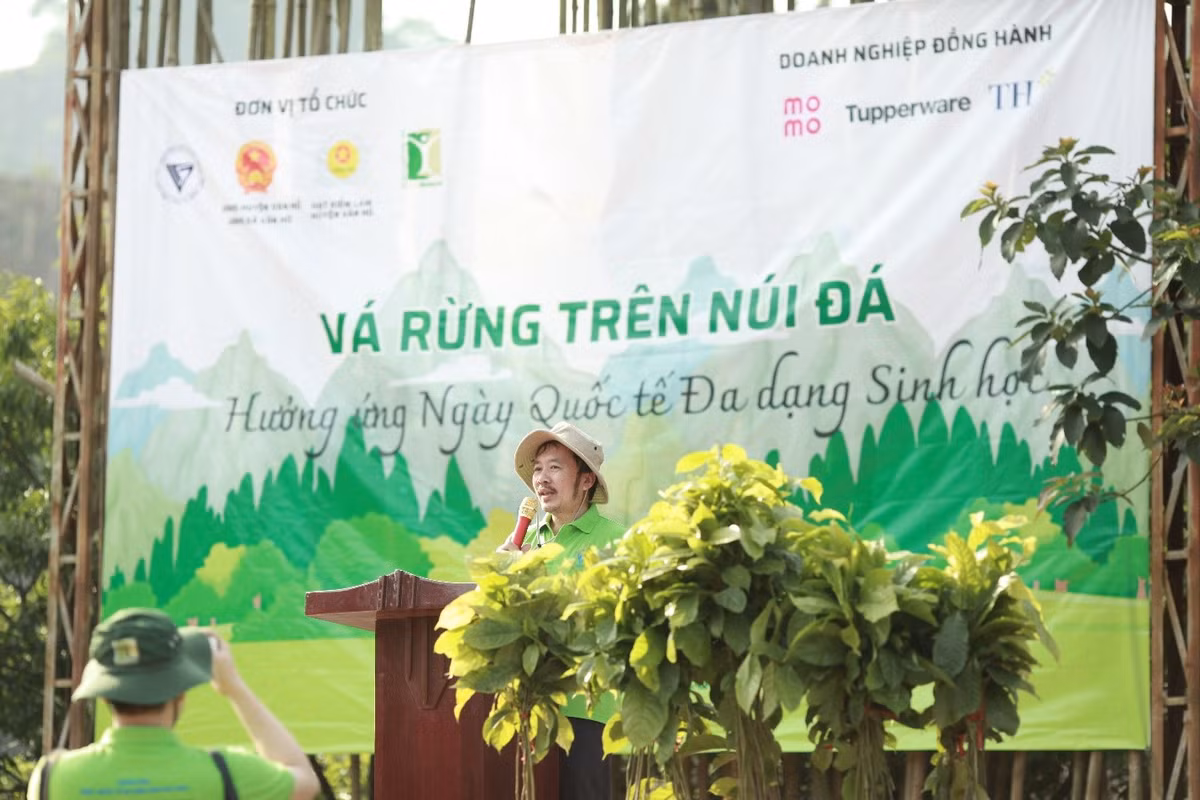 Va rung tren nui da - huong ung Ngay Quoc te Da dang sinh hoc 22/5-Hinh-3