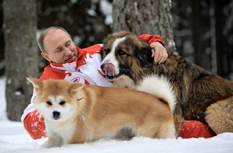 Tổng thống Putin nổi tiếng là một người yêu động vật. Bức ảnh này chụp ông Putin chơi đùa với hai chú chó trên tuyết. Được biết, hai chú này là món quà mà nhà lãnh đạo Nga nhận được từ phía các nhà lãnh đạo Bulgaria và Nhật Bản. (Nguồn ảnh: UPROXX)